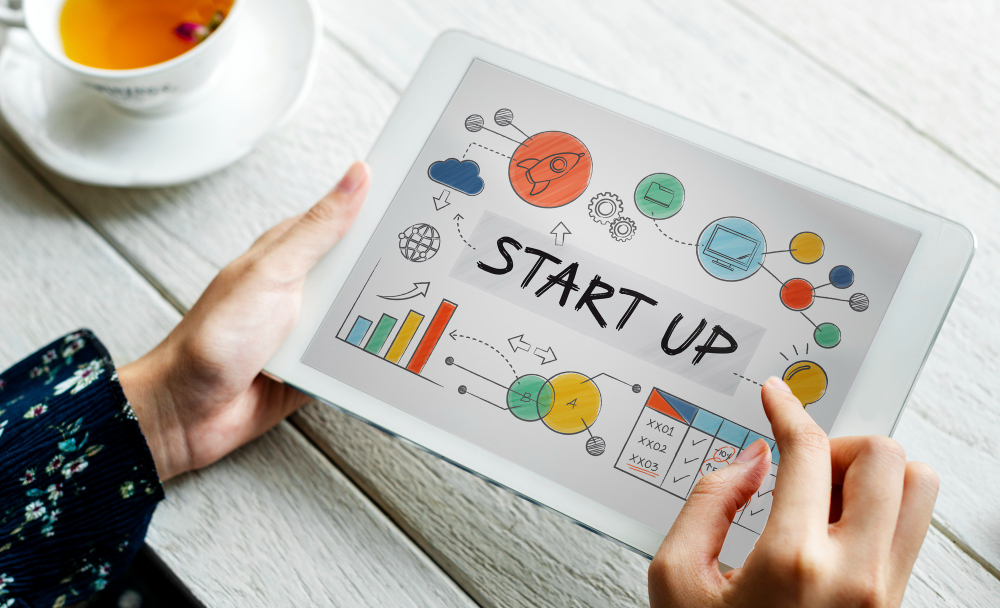 Start-ups & Scale Up